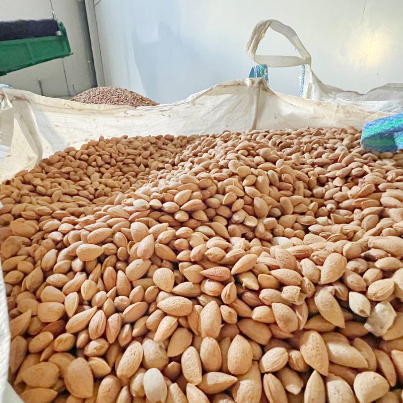 almendra en sacas